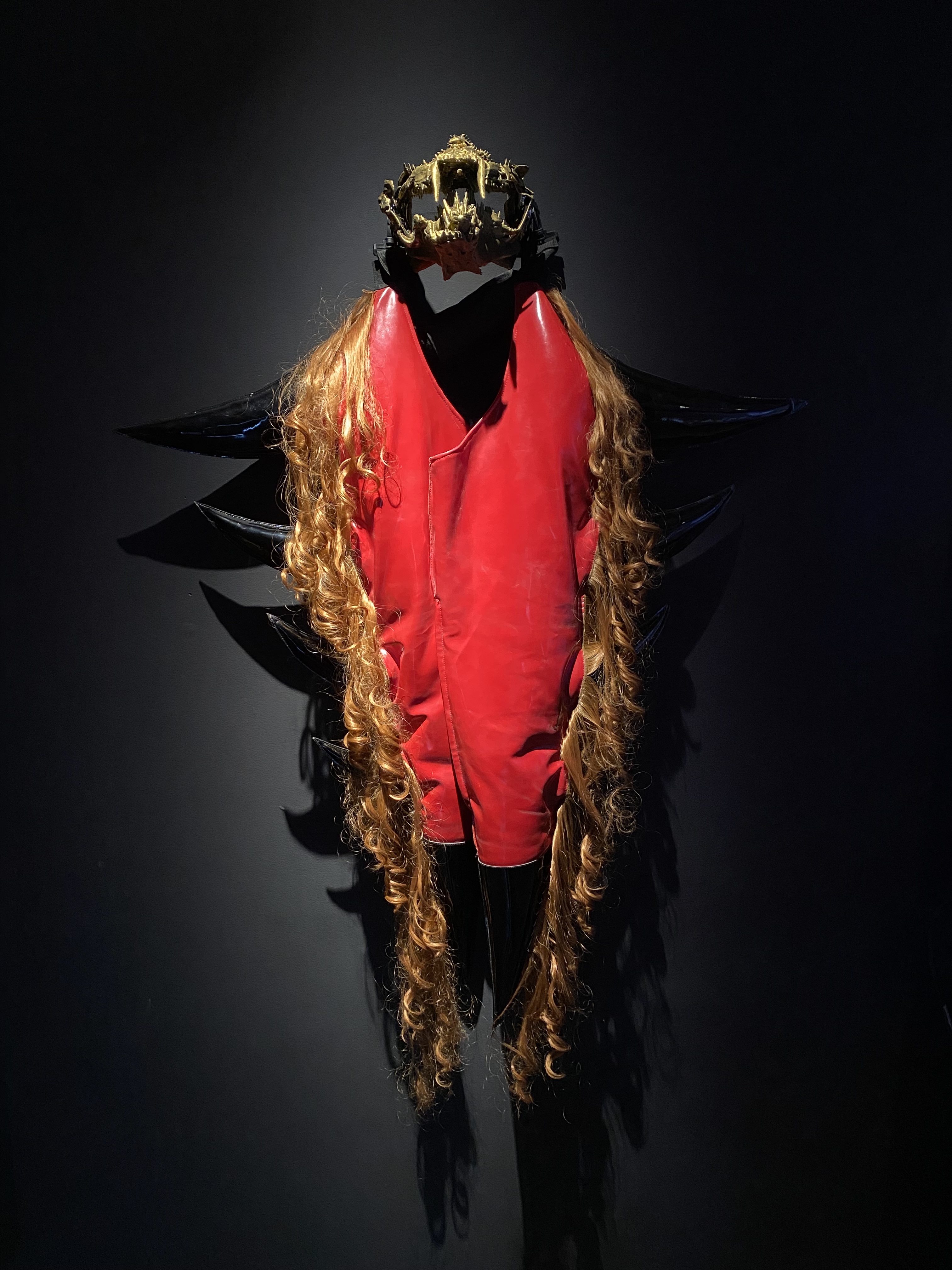 Dentaxuvia Wearables Display